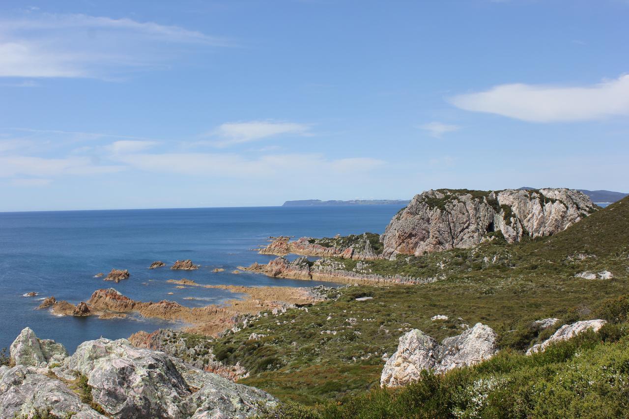 Eagle'S Roost Farmstay B&B Rocky Cape Kültér fotó